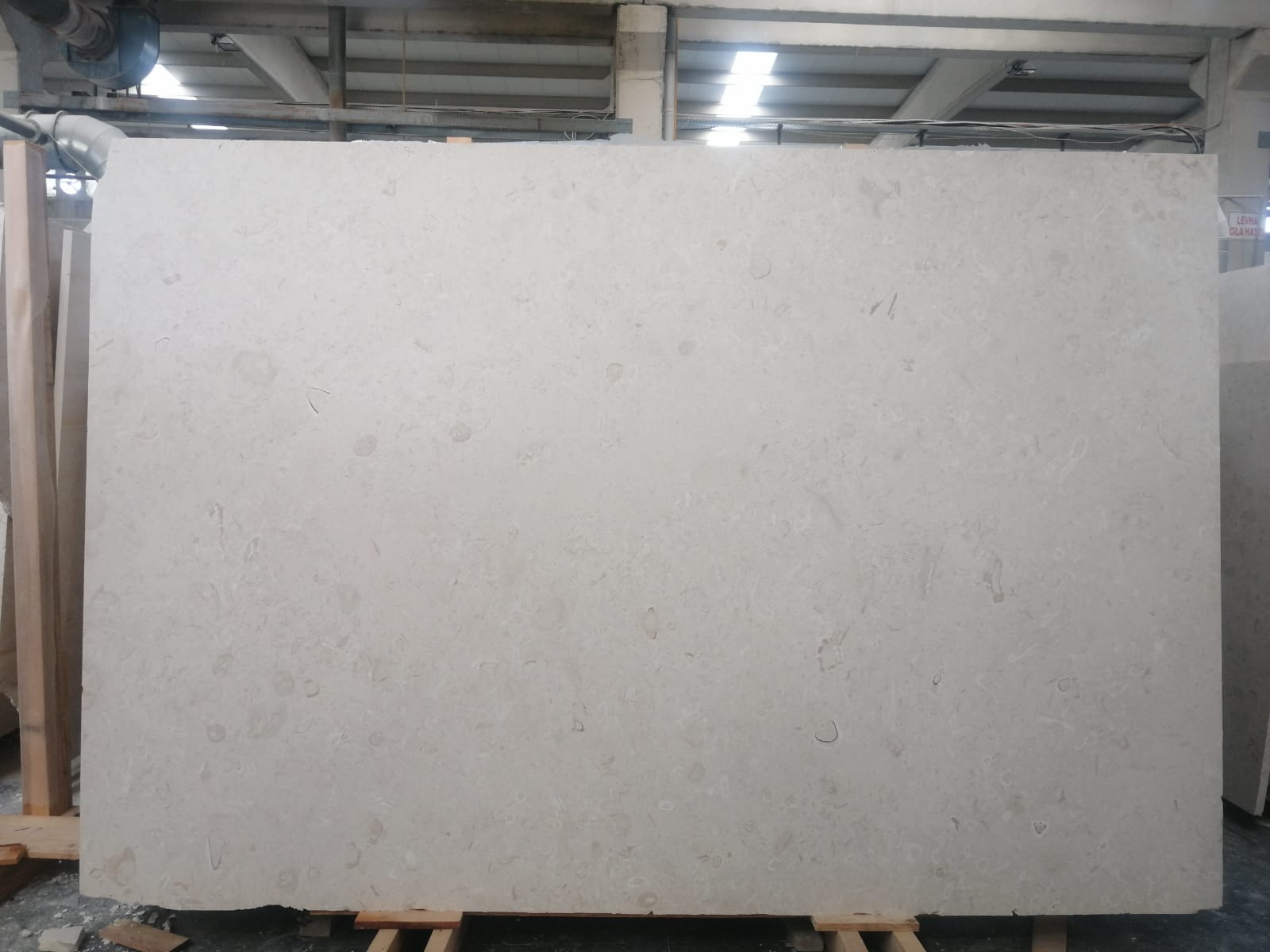 LIMESTONE FIORITO